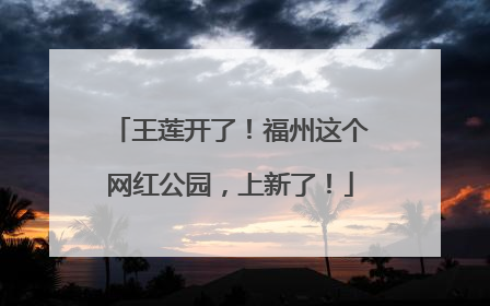 王莲开了！福州这个网红公园，上新了！