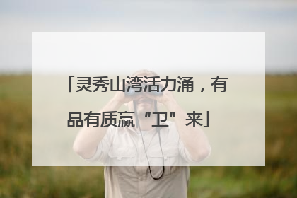 灵秀山湾活力涌，有品有质赢“卫”来