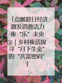 点燃夏日经济 激发消费活力·夜“乐”未央③｜乡村夜话探寻“月下生金”的“共富密码”