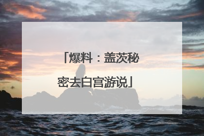 爆料：盖茨秘密去白宫游说