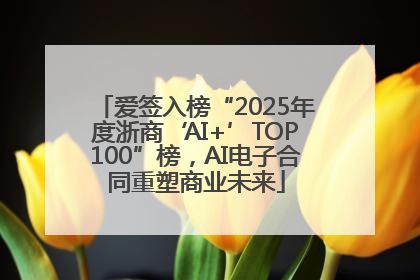 爱签入榜“2025年度浙商‘AI+’TOP100”榜，AI电子合同重塑商业未来
