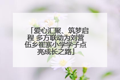爱心汇聚、筑梦启程 多方联动为刘营伍乡崔寨小学学子点亮成长之路