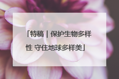 特稿｜保护生物多样性 守住地球多样美