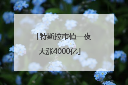 特斯拉市值一夜大涨4000亿