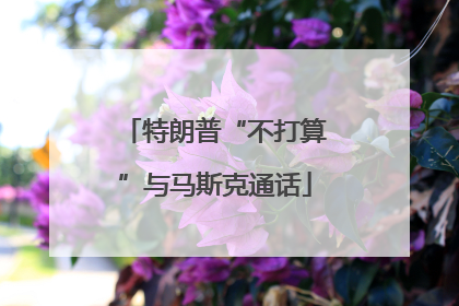 特朗普“不打算”与马斯克通话