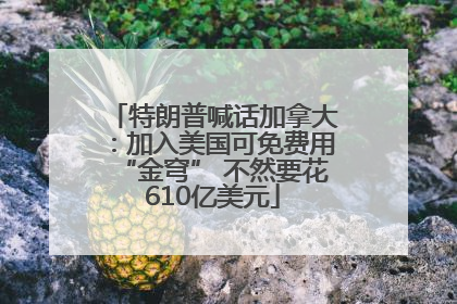 特朗普喊话加拿大：加入美国可免费用“金穹” 不然要花610亿美元