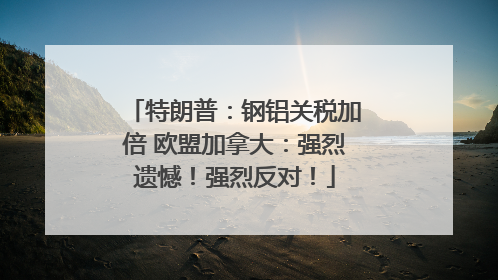 特朗普：钢铝关税加倍 欧盟加拿大：强烈遗憾！强烈反对！