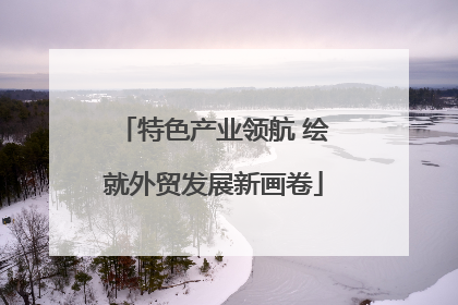 特色产业领航 绘就外贸发展新画卷