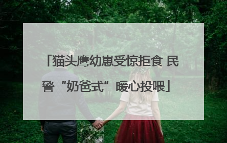 猫头鹰幼崽受惊拒食 民警“奶爸式”暖心投喂