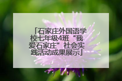 石家庄外国语学校七年级4班“我爱石家庄”社会实践活动成果展示