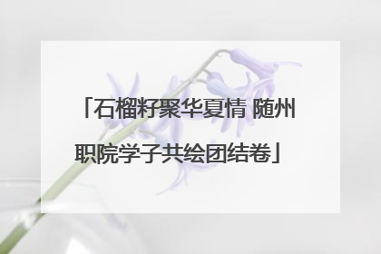石榴籽聚华夏情 随州职院学子共绘团结卷