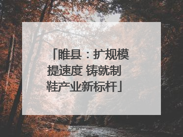 睢县：扩规模提速度 铸就制鞋产业新标杆