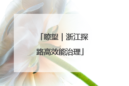 瞭望｜浙江探路高效能治理