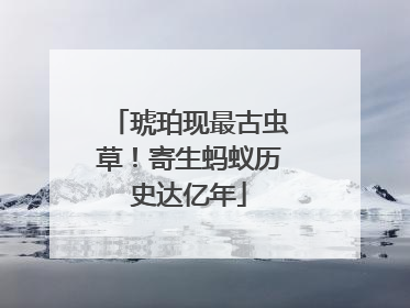 琥珀现最古虫草！寄生蚂蚁历史达亿年