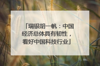 瑞银胡一帆：中国经济总体具有韧性，看好中国科技行业