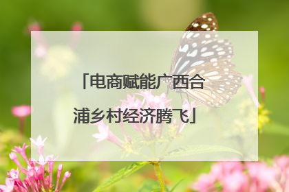 电商赋能广西合浦乡村经济腾飞