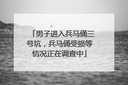 男子进入兵马俑三号坑，兵马俑受损等情况正在调查中