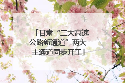 甘肃“三大高速公路新通道”两大主通道同步开工