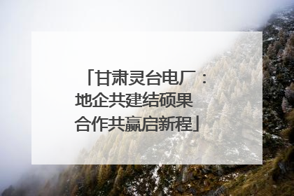 甘肃灵台电厂：地企共建结硕果 合作共赢启新程