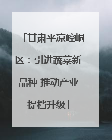 甘肃平凉崆峒区：引进蔬菜新品种 推动产业提档升级