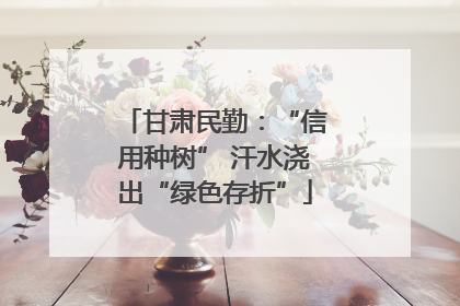 甘肃民勤：“信用种树” 汗水浇出“绿色存折”