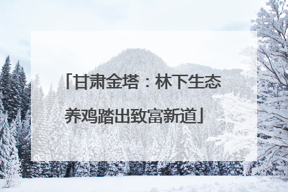 甘肃金塔：林下生态养鸡踏出致富新道