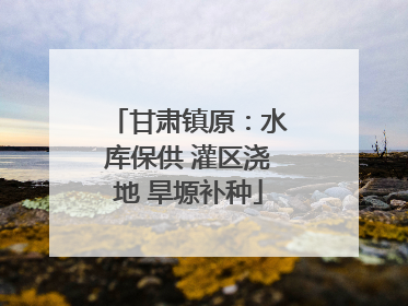 甘肃镇原：水库保供 灌区浇地 旱塬补种