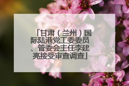 甘肃（兰州）国际陆港党工委委员、管委会主任李建亮接受审查调查