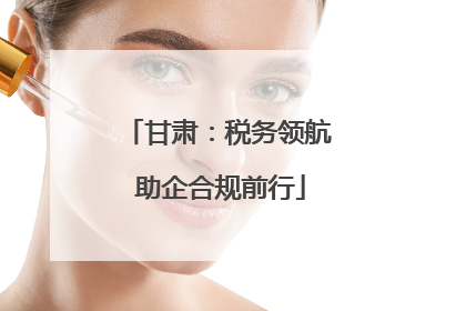 甘肃：税务领航 助企合规前行