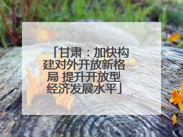 甘肃：加快构建对外开放新格局 提升开放型经济发展水平