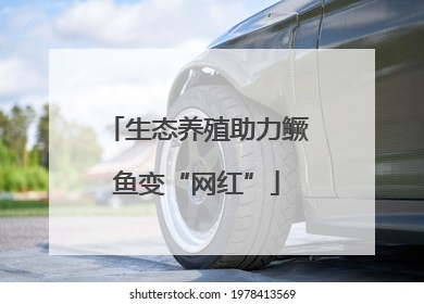生态养殖助力鳜鱼变“网红”