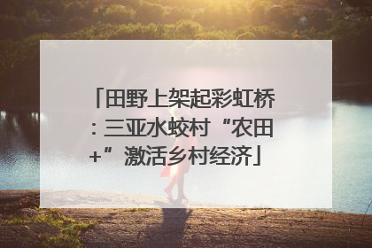 田野上架起彩虹桥：三亚水蛟村“农田+”激活乡村经济