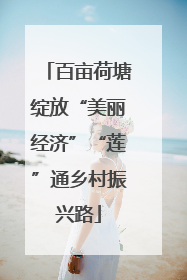 百亩荷塘绽放“美丽经济”“莲”通乡村振兴路
