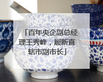 百年央企副总经理王秀峰，履新直辖市副市长