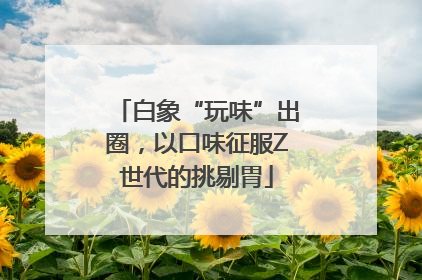 白象“玩味”出圈，以口味征服Z世代的挑剔胃
