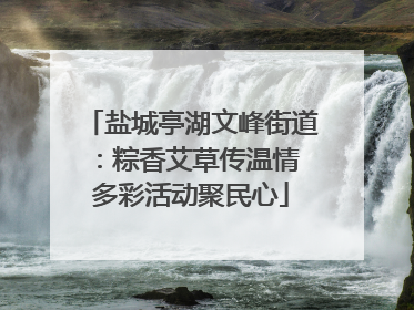 盐城亭湖文峰街道：粽香艾草传温情 多彩活动聚民心