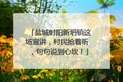 盐城射阳新坍镇这场宣讲，村民抢着听，句句说到心坎！