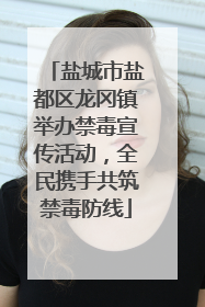 盐城市盐都区龙冈镇举办禁毒宣传活动，全民携手共筑禁毒防线