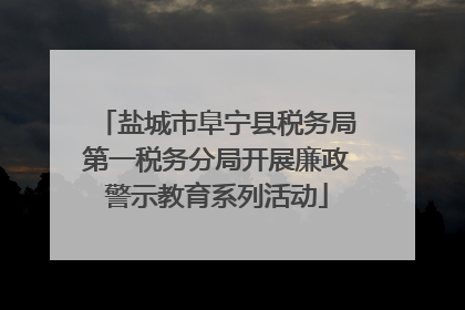 盐城市阜宁县税务局第一税务分局开展廉政警示教育系列活动