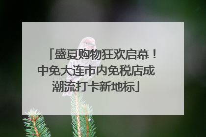 盛夏购物狂欢启幕！中免大连市内免税店成潮流打卡新地标