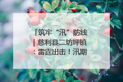 筑牢“汛”防线｜慈利县二坊坪镇：雷霆出击！汛期捕鱼被紧急叫停