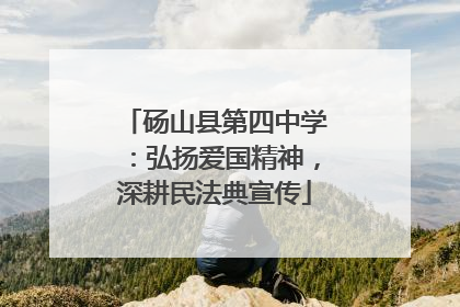 砀山县第四中学：弘扬爱国精神，深耕民法典宣传