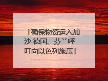 确保物资运入加沙 德国、芬兰呼吁向以色列施压