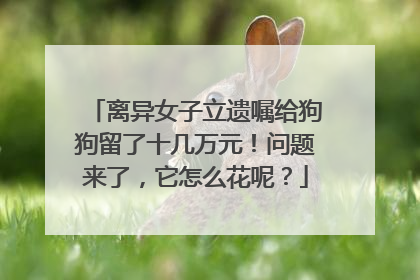 离异女子立遗嘱给狗狗留了十几万元！问题来了，它怎么花呢？