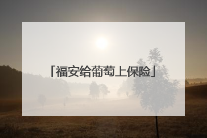 福安给葡萄上保险