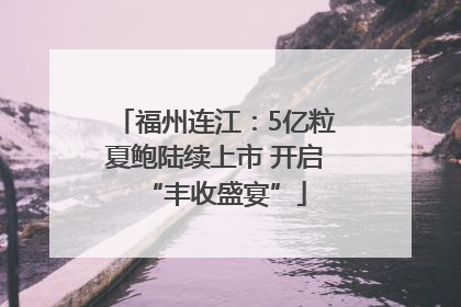 福州连江：5亿粒夏鲍陆续上市 开启“丰收盛宴”