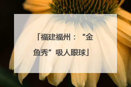 福建福州：“金鱼秀”吸人眼球