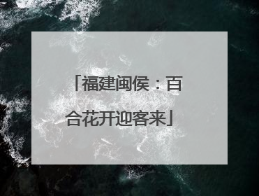 福建闽侯：百合花开迎客来