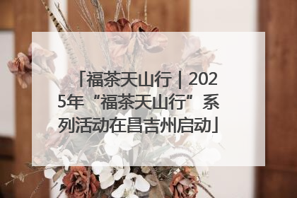福茶天山行｜2025年“福茶天山行”系列活动在昌吉州启动