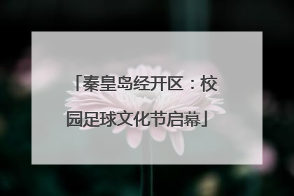 秦皇岛经开区：校园足球文化节启幕